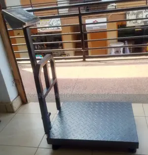 Platform Weighing Scale 350kg Product Weigh Digital Weighing Scale