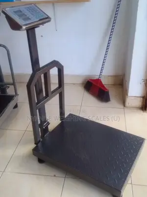 Industry Platform Weighing Scales 350kg Weighing Scale