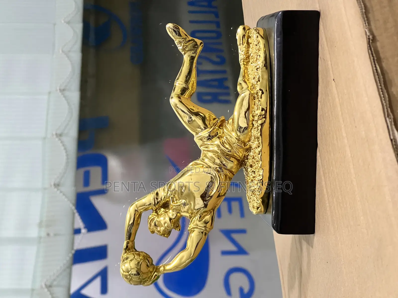 Trophy Best Player Laying