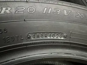 265/55r20 Dunlop Japan Tyres