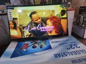 Global Star 32 Digital Flat Screen Flameless.