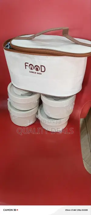4pcs Insulated Thermal Lunch Box