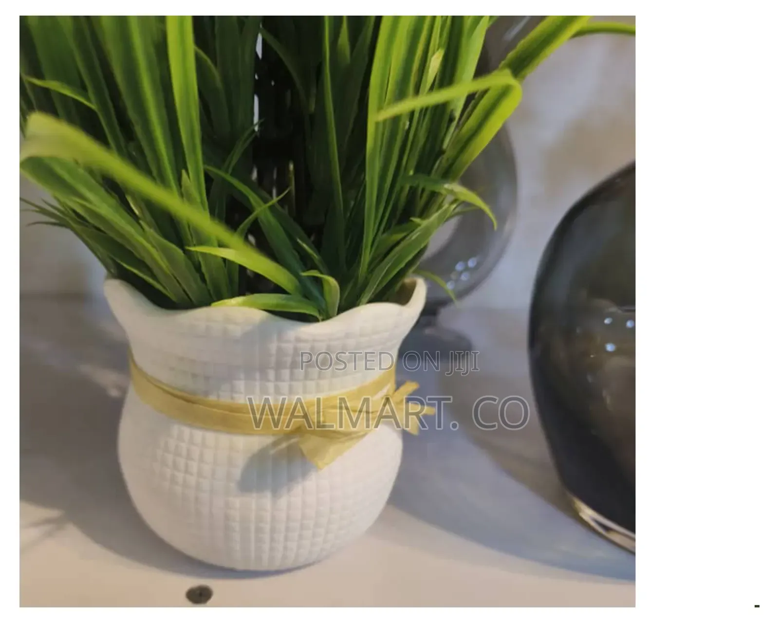 White Flower Vase Pot