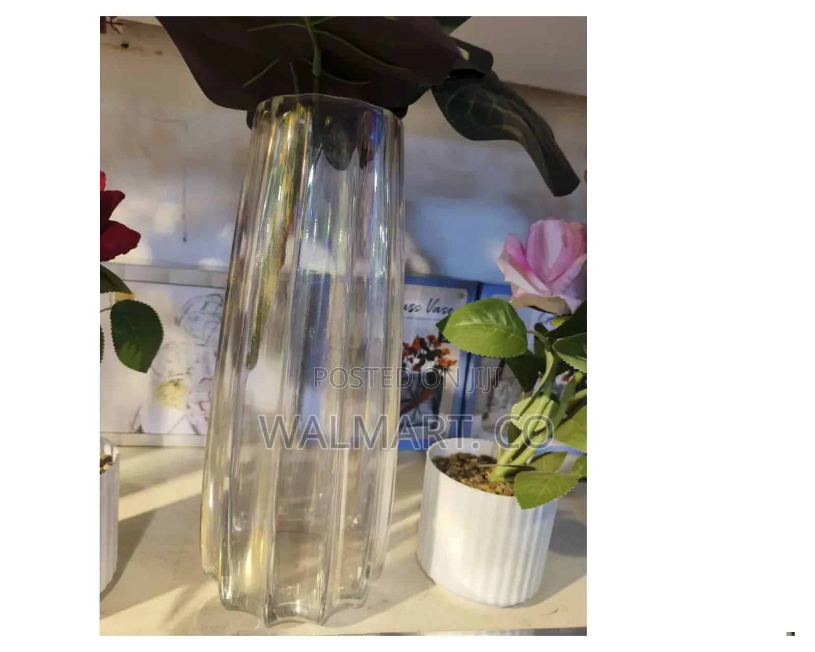 Transparent Glass Shaped Flower Vase