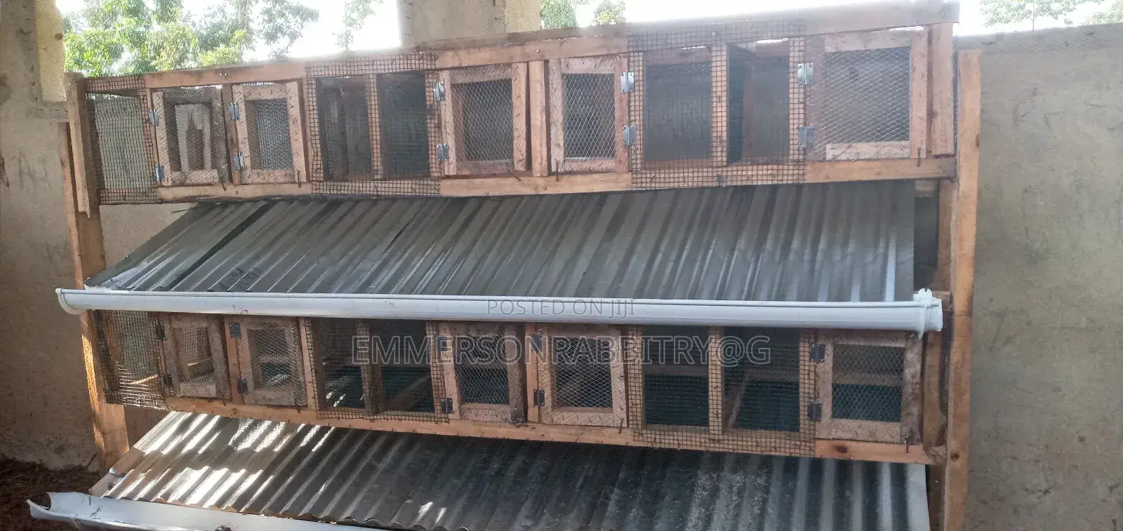 Rabbits Hatch Constration