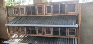 Rabbits Hatch Constration