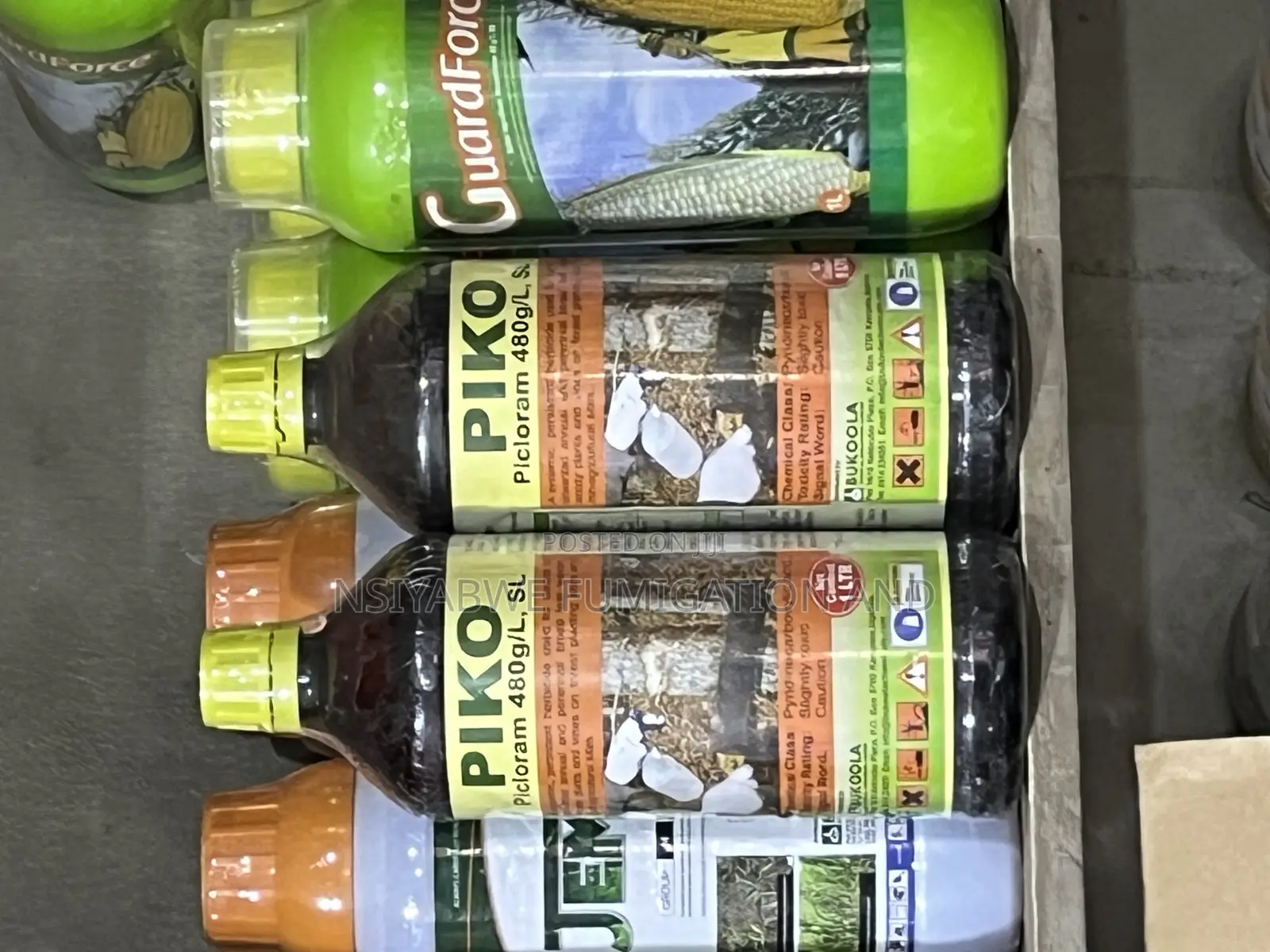 Piko Systemic Herbicide – 1 L for Tree Stumps Woody Weeds