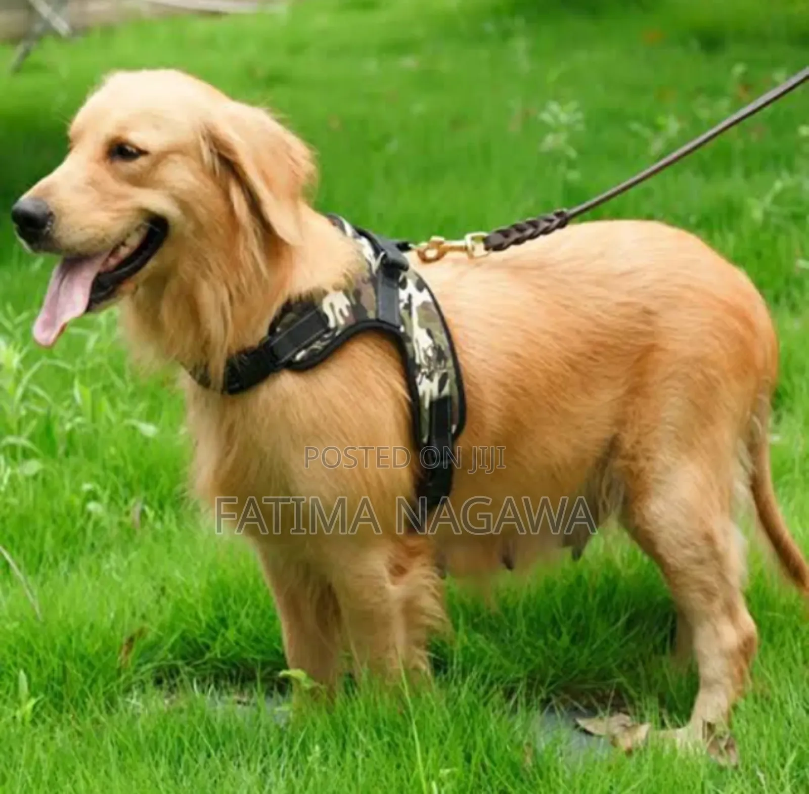 Adjustable Durable Reflective Dog Harness