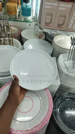 Heavy Quality Melamine Dinner Plates