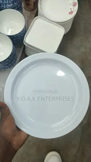 Heavy Quality Melamine Dinner Plates