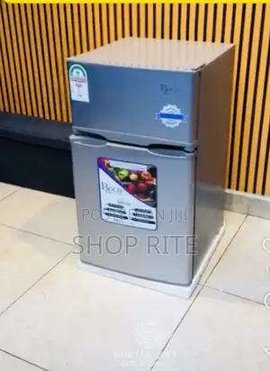 Roch 125 Liters Double Door Refrigerator