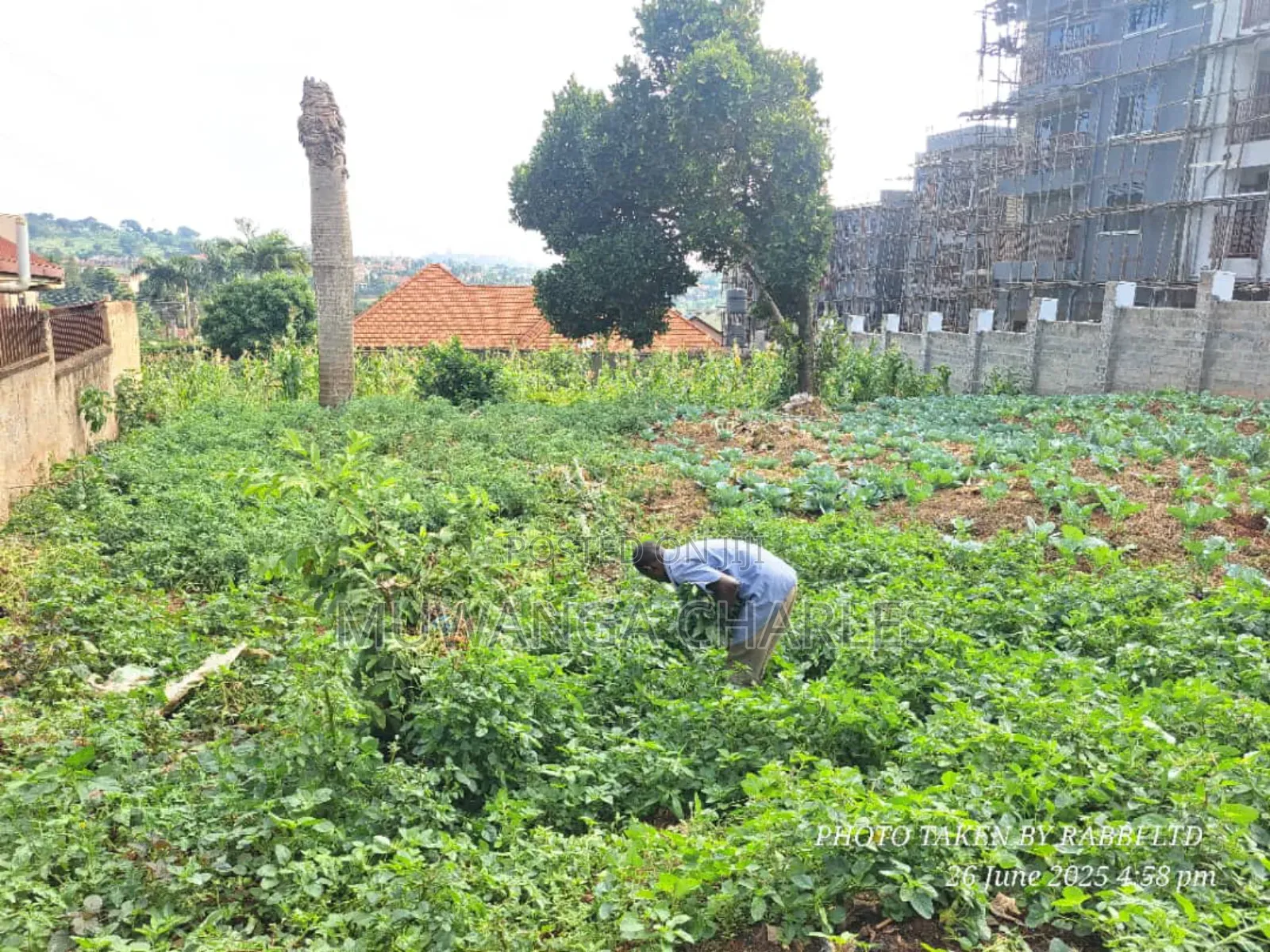 Plot on Sale in Kisaasi