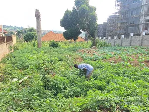 Plot on Sale in Kisaasi