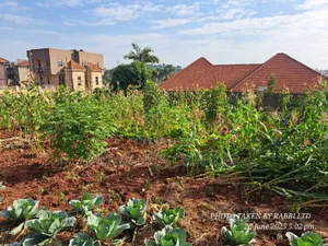 Plot on Sale in Kisaasi