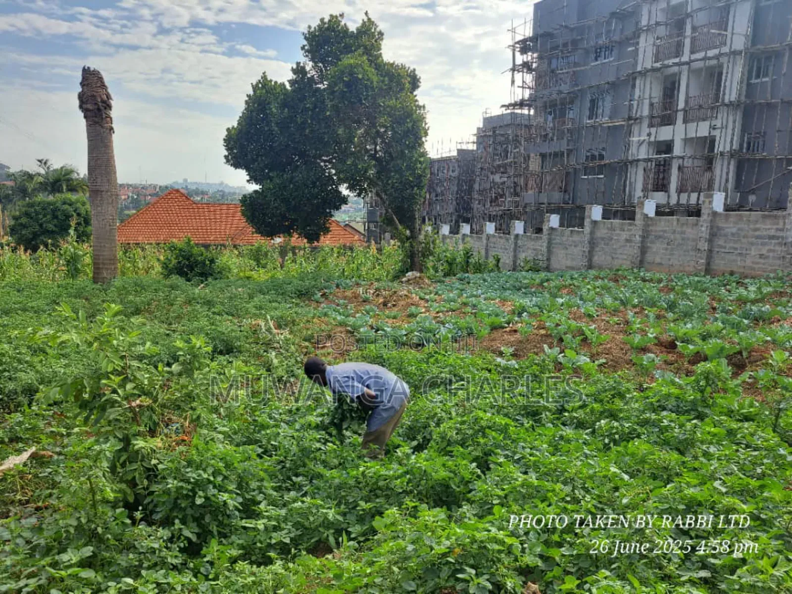 Plot on Sale in Kisaasi