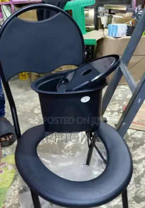 Adult Potty