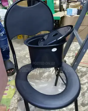 Adult Potty