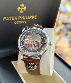 Brown/Silver Watches Men Patek Mechanical