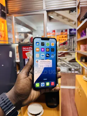 Apple iPhone 13 Pro Max 256 GB Black