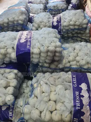 Tresor Garlic