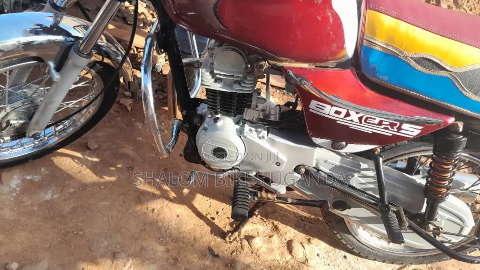 Bajaj Boxer 100 2024 Red