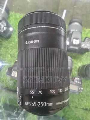 Canon 55-250mm Prof. Lens