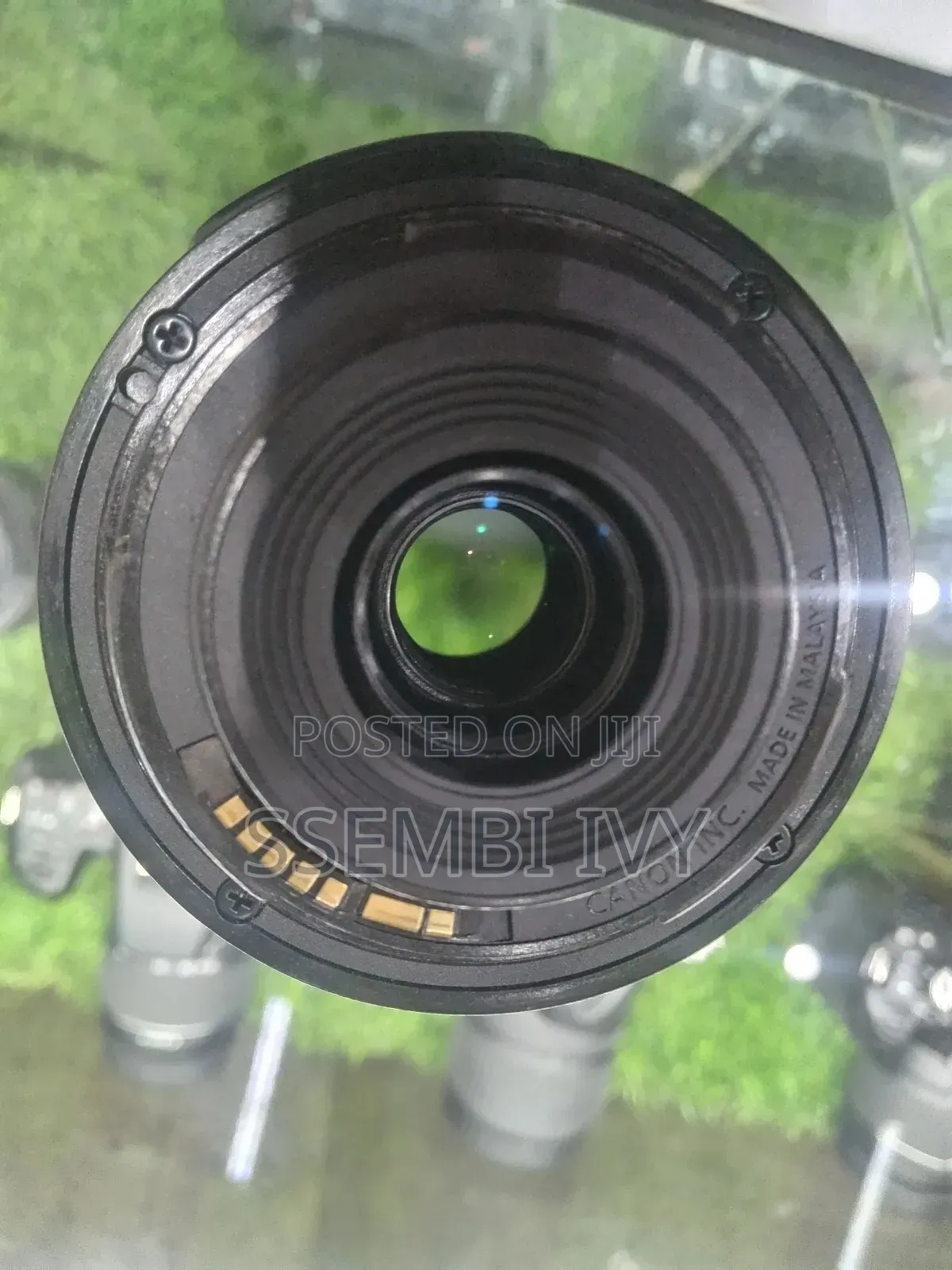 Canon 55-250mm Prof. Lens