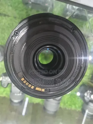 Canon 55-250mm Prof. Lens