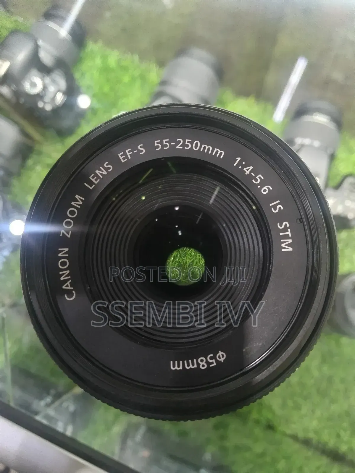 Canon 55-250mm Prof. Lens