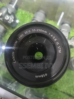 Canon 55-250mm Prof. Lens