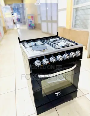 Sony Cooker 3gas 1electric 60*50