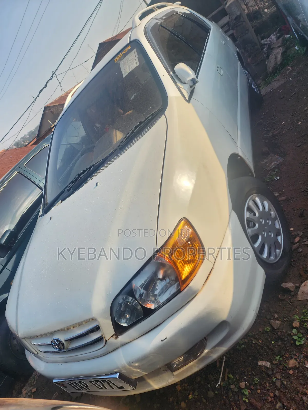 Toyota Ipsum 2000 White
