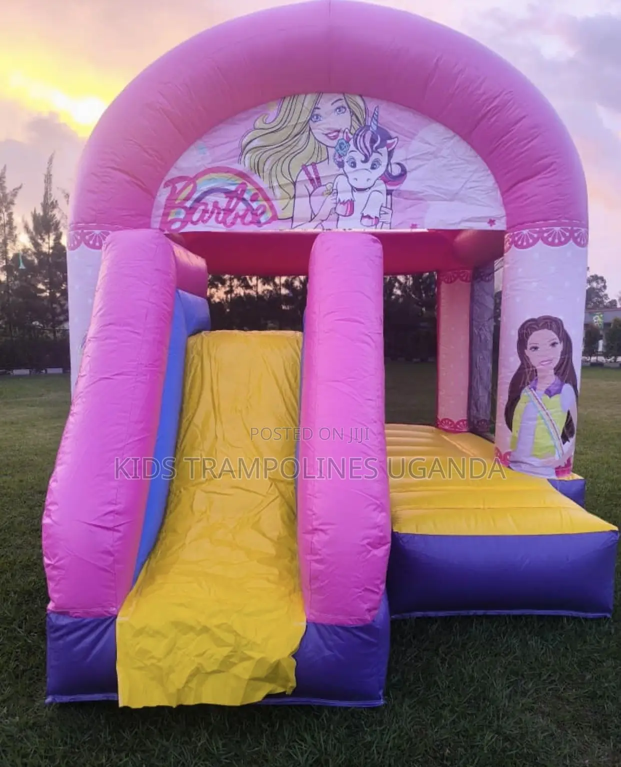 Unicorn ,Barbie Elena