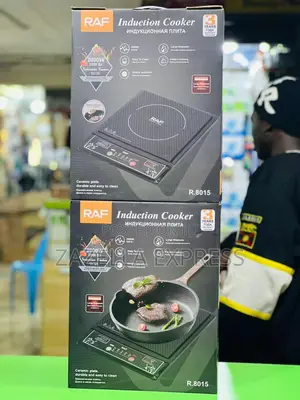 Raf Single Smart Infrared Cooker