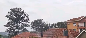 Roof Cleaning Services That Restores the Shine