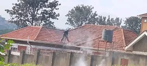 Roof Cleaning Services That Restores the Shine
