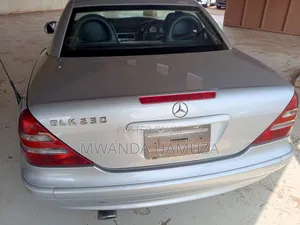 Photo - Mercedes-Benz SLK-Class 2006 Silver