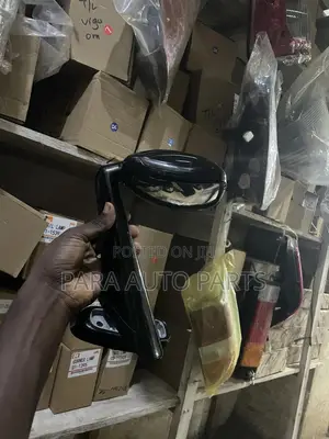 Fender/Baby Mirror Land Cruiser Prado Tx