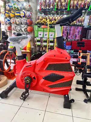 Spin Bike Heavy Duty