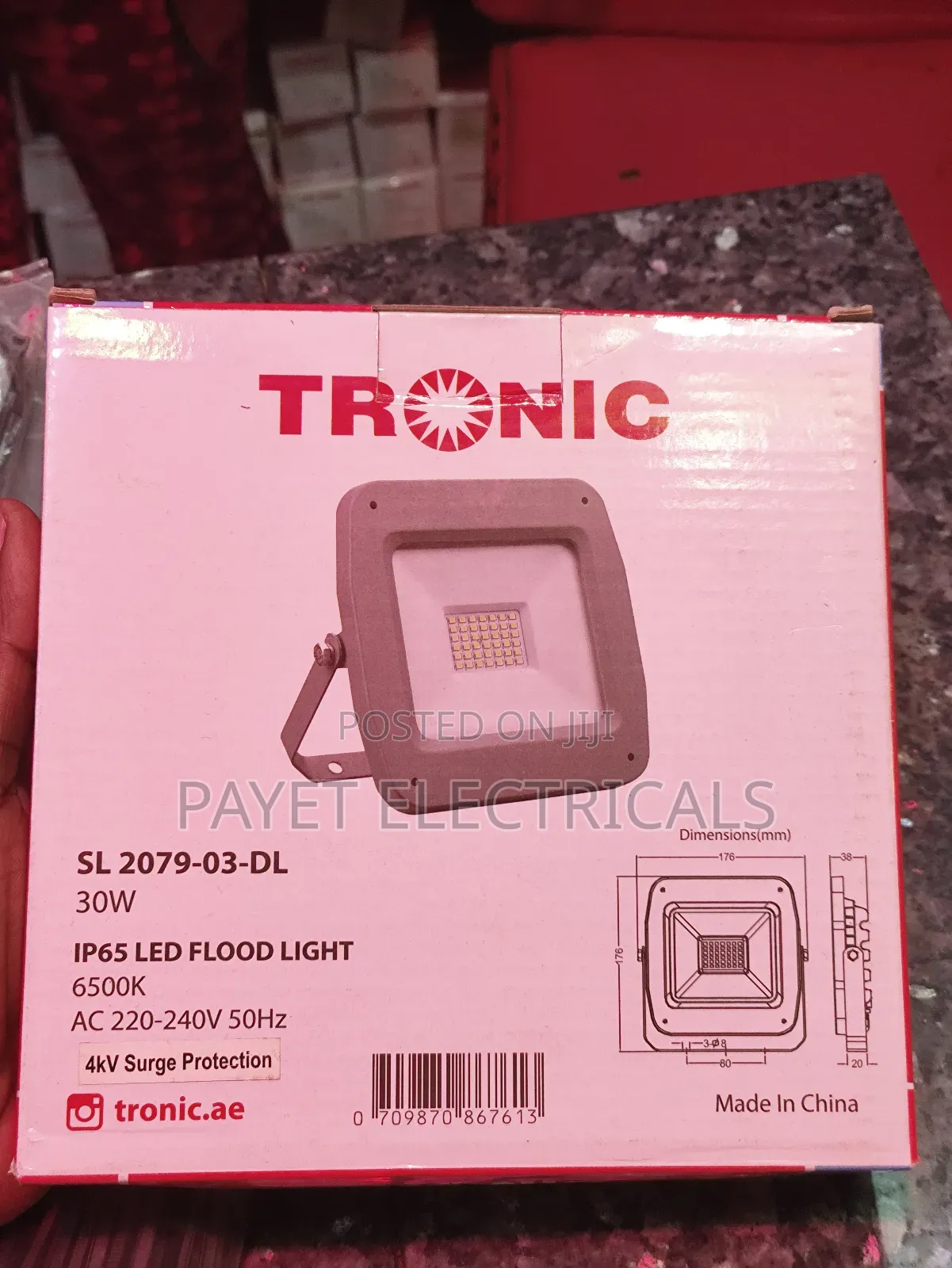 Heavy Duty Security Floodlight