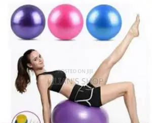 Fitness Exercise Yoga Ball