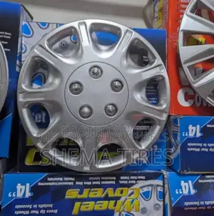 Those With Audinary Rims You Need This Willcups Any Size.