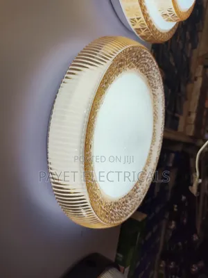 Ceiling Fitting Led Light