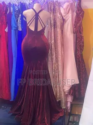 Long Mermaid Dress for Hire X3 Changing Dress