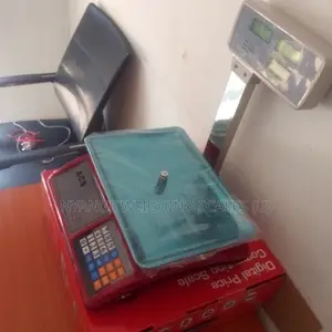 Electronic Weighing Scale 35kg-40kg Weigh Digital Weighing Scale