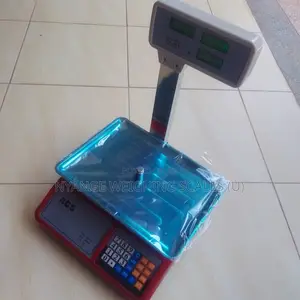Wholesale Weigh Scale Electronic Weighing Scales 35kg-40kg/5g