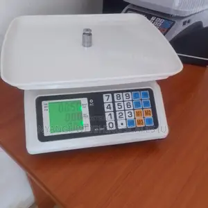 Digital Counter Weighing Scale Table Top Weighing Scales Shop 40kg/2g