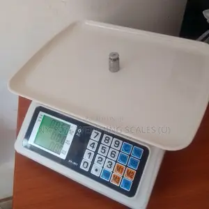 Where to Buy Digital Weighing Scales 40kg/2g Weighing Scale