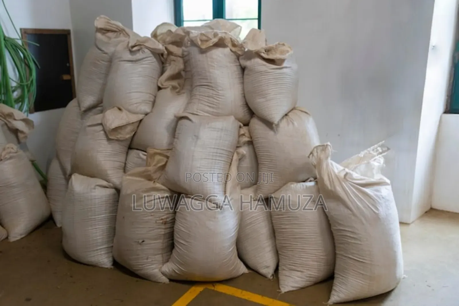 Rabbit Pellets Bulk Kilograms