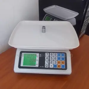 Portable Weighing Scale Table Top Chicken Weighing Scales 40kg/2g